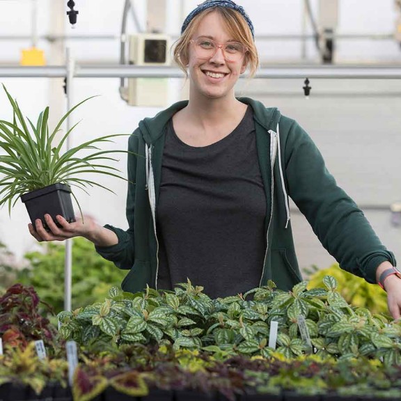 Person with plant in greenhouse